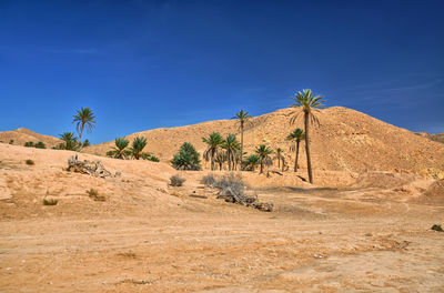 Scenic view of arid landscape against blue sky