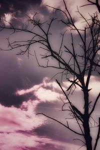 Low angle view of silhouette tree against sky