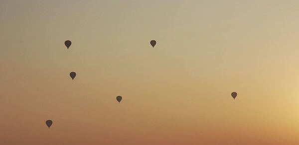 Low angle view of hot air balloons against sky during sunset