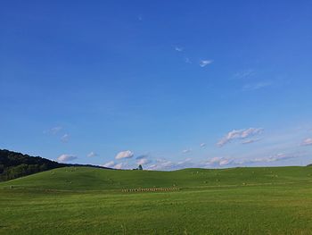 Scenic view of green field against sky