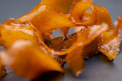 Close-up of orange slice in plate