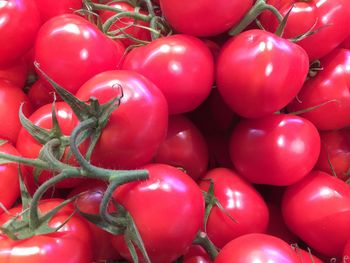 Full frame shot of tomatoes