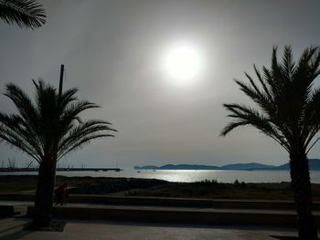 Palm tree by sea against sky