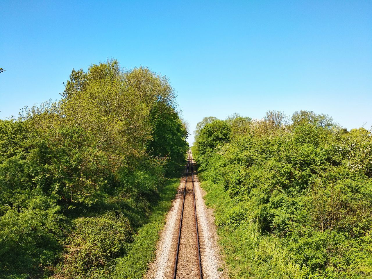 plant, tree, sky, nature, green, growth, the way forward, clear sky, rural area, no people, hill, transportation, beauty in nature, day, land, forest, tranquility, scenics - nature, landscape, outdoors, grass, blue, diminishing perspective, environment, autumn, tranquil scene, sunny, non-urban scene, leaf, natural environment, sunlight, rail transportation, road, footpath, track, foliage, vanishing point, travel, lush foliage