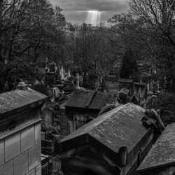 Panoramic view of cemetery and trees against sky