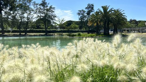 Scenic view of lake against sky