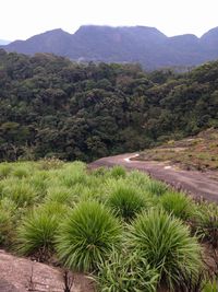 Scenic view of mountains