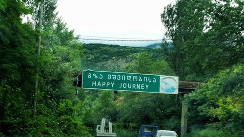 Close-up of road sign in forest