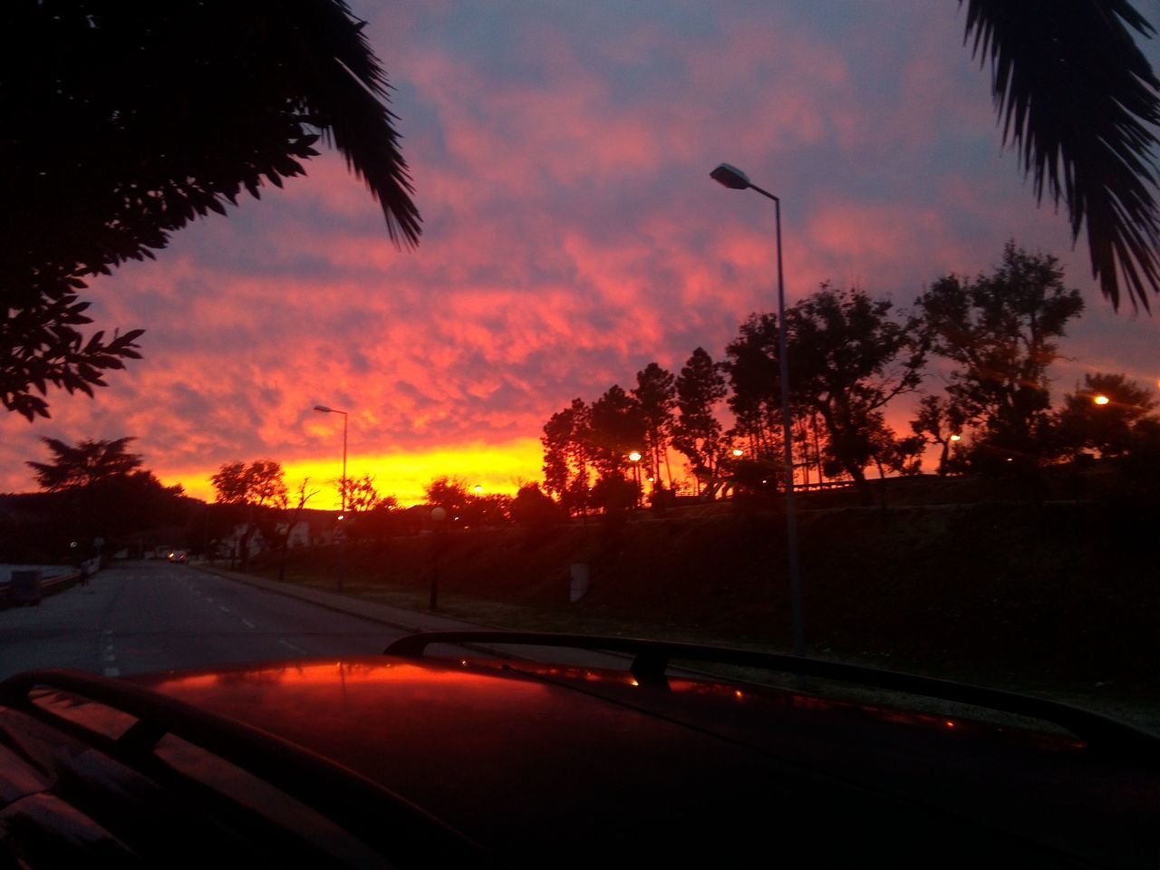 sunset, transportation, tree, sky, car, silhouette, land vehicle, cloud - sky, mode of transport, orange color, palm tree, street light, road, illuminated, street, sun, nature, scenics, cloud, beauty in nature