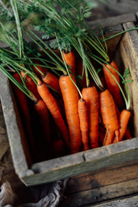 Close-up of vegetables