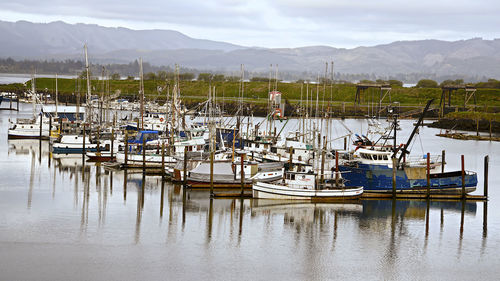 Boats moored at harbor