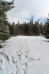 Snow covered land against sky