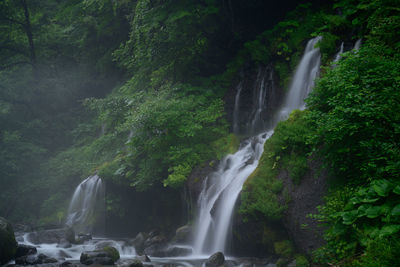 Scenic view of waterfall in forest