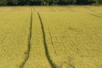 View of rural landscape