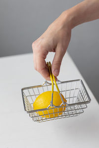 Cropped hand of woman holding small shopping cart on table