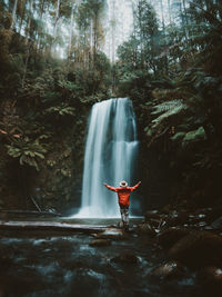 Scenic view of waterfall in forest