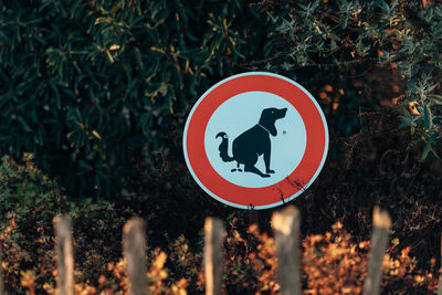 Close-up of road sign against trees
