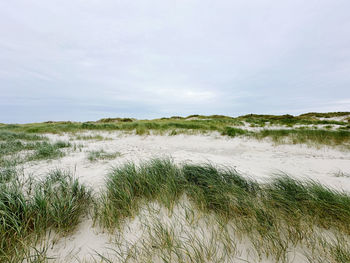 natural environment