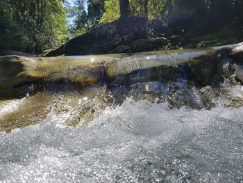 Water flowing through rocks in forest