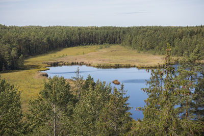 Scenic view of lake in forest against sky