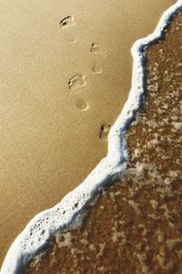 High angle view of footprints on beach