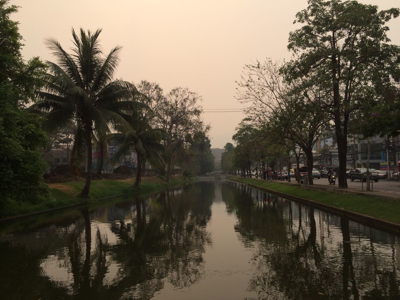 tree, water, reflection, waterfront, clear sky, tranquility, growth, sky, nature, tranquil scene, canal, lake, building exterior, river, scenics, beauty in nature, outdoors, palm tree, built structure, pond