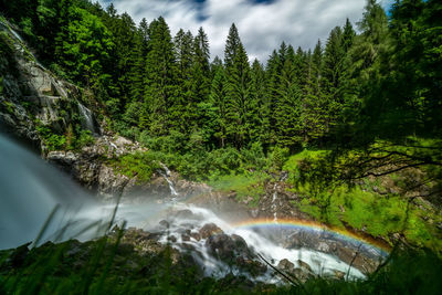 Scenic view of waterfall in forest