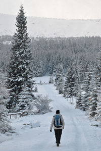 Rear view of man walking on snow covered landscape