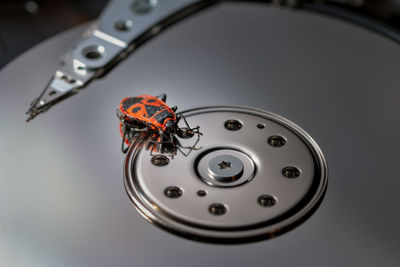 High angle view of beetle on hard drive