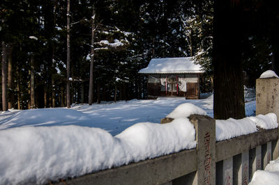 Snow covered plants by fence during winter