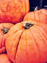 Close-up of pumpkins