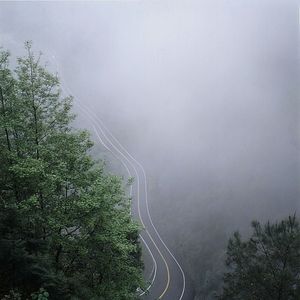 Road in foggy weather