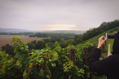 Man looking at trees on landscape against mountain range