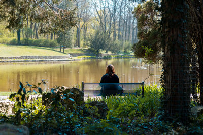 Rear view of woman sitting by lake