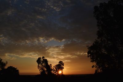 Silhouette trees on field against sky at sunset