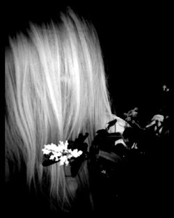 Close-up of woman holding flowers