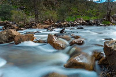 Surface level of stream flowing through rocks in forest