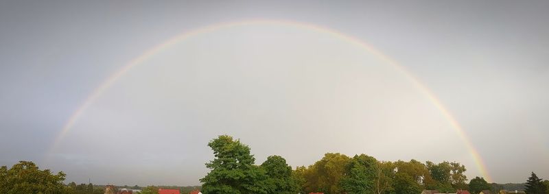 Rainbow over trees against sky