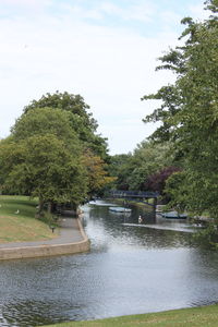 River amidst trees against sky