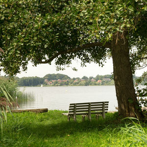 Empty bench on lakeshore