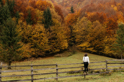 Rear view of man walking on field