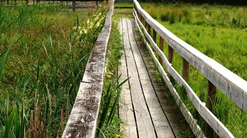 High angle view of boardwalk on grass in park