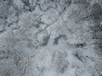 High angle view of snow covered field