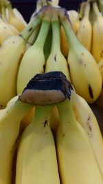 Close-up of fruits for sale at market stall