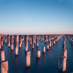 Wooden posts in the sea