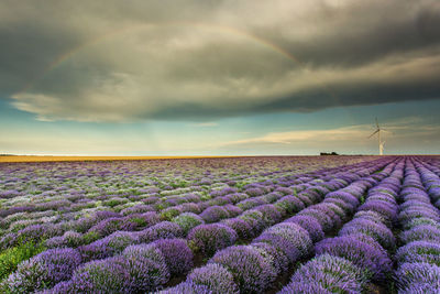 Scenic view of field against cloudy sky