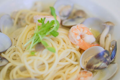 Close-up of pasta served in bowl