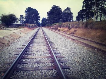 Surface level of railroad tracks against trees