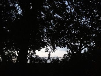Silhouette of trees against sky
