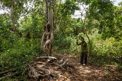 Rear view of man standing by trees in forest